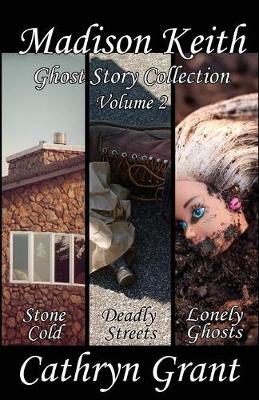 Book cover for Madison Keith Ghost Story Collection - Volume 2 (Suburban Noir Ghost Stories)