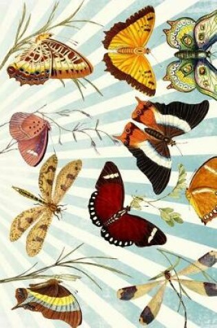 Cover of Butterfly Journal