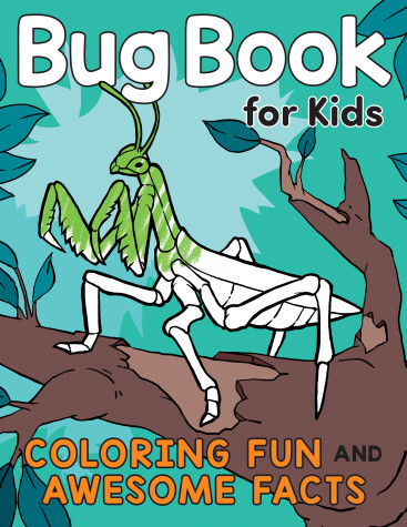 Book cover for Bug Book for Kids