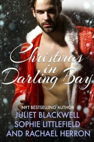 Cover of A Darling Bay Christmas