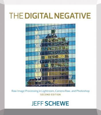 Book cover for The Digital Negative