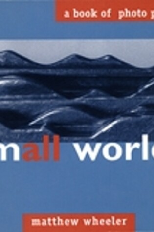 Cover of Small Worlds