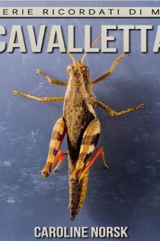 Cover of Cavalletta