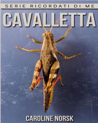 Book cover for Cavalletta