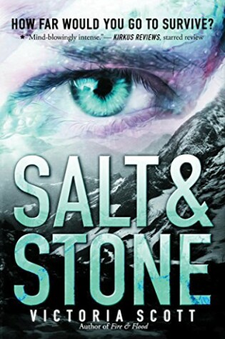 Cover of Salt & Stone
