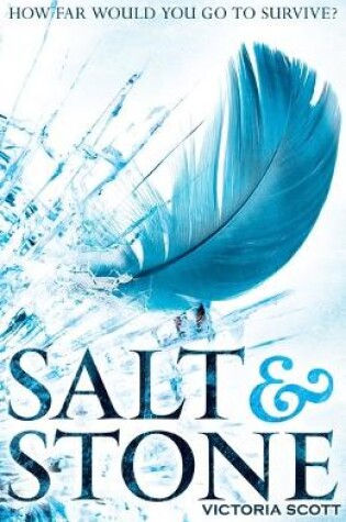 Cover of Salt & Stone