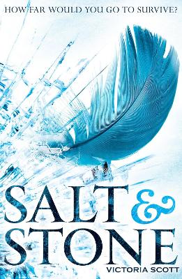Book cover for Salt & Stone