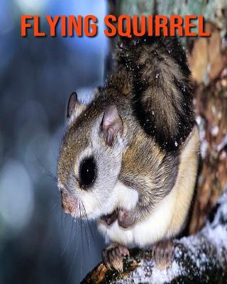 Book cover for Flying Squirrel