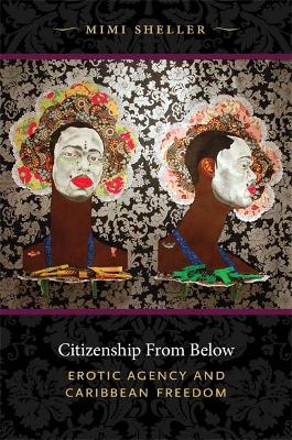 Book cover for Citizenship from Below