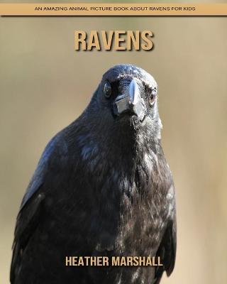 Book cover for Ravens