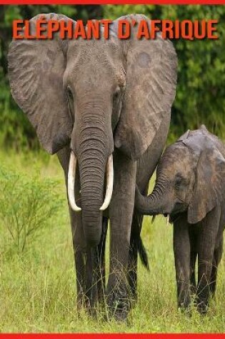 Cover of Eléphant d'Afrique