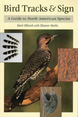 Cover of Bird Tracks & Sign