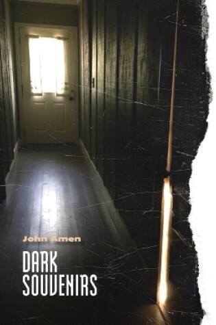 Cover of Dark Souvenirs