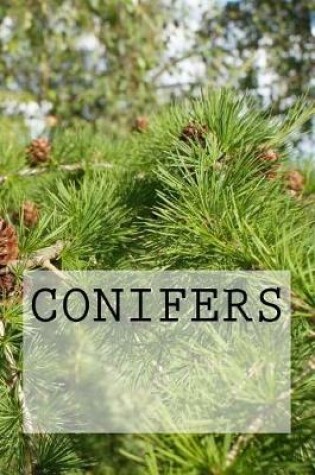 Cover of Conifers