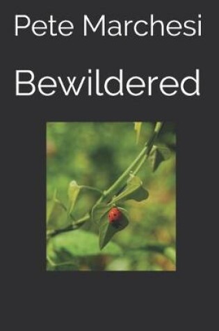 Cover of Bewildered