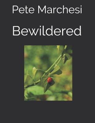 Book cover for Bewildered