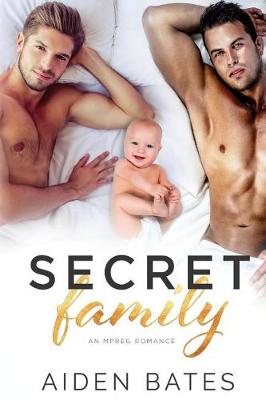 Book cover for Secret Family