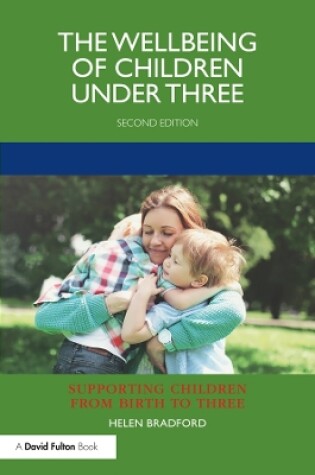 Cover of The Wellbeing of Children under Three