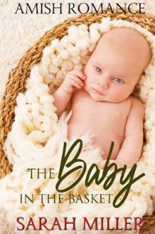 Cover of The Baby in the Basket