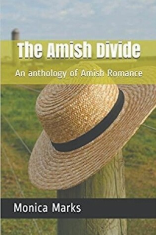 Cover of The Amish Divide An Anthology of Amish Romance