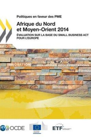 Cover of Politiques en faveur des PME Afrique du Nord et Moyen-Orient 2014