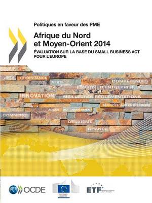 Book cover for Politiques en faveur des PME Afrique du Nord et Moyen-Orient 2014