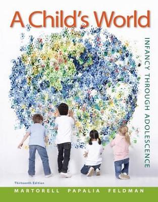 Book cover for Connect Access Card for a Child's World