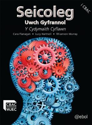 Book cover for Seicoleg Uwch Gyfrannol - Y Cydymaith Cyflawn