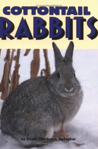Cover of Cottontail Rabbits