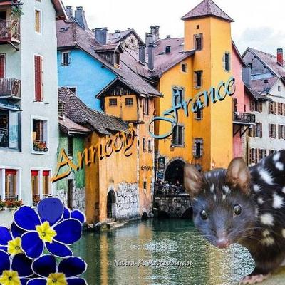 Book cover for Annecy, France