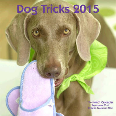 Book cover for Dog Tricks 2015