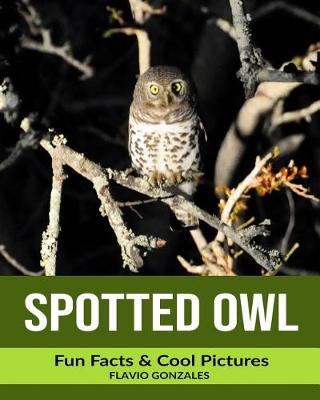 Book cover for Spotted Owl