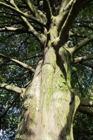 Cover of Fagus Sylvatica European Beech Tree