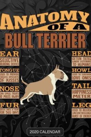 Cover of Anatomy Of A Bull Terrier