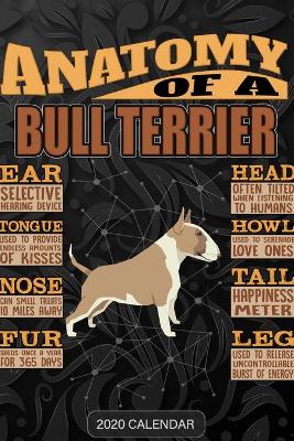 Book cover for Anatomy Of A Bull Terrier