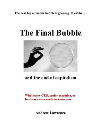 Book cover for The Final Bubble