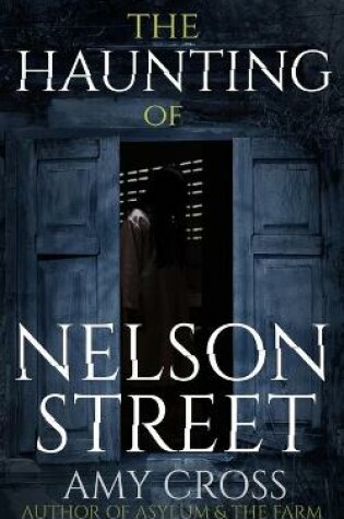 Cover of The Haunting of Nelson Street
