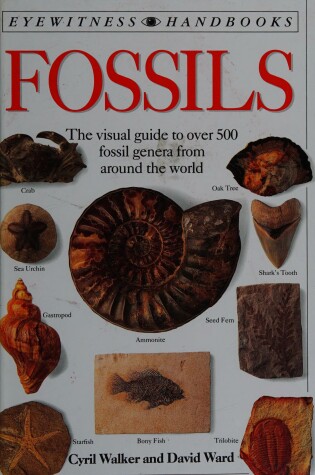 Cover of Eyewitness Handbook:  05 Fossils