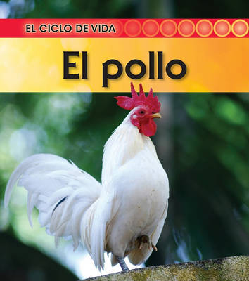 Book cover for El Pollo