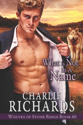 Cover of What is Not in a Name