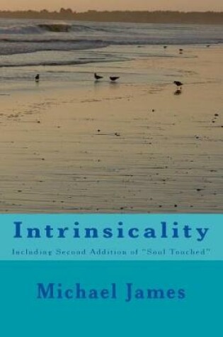 Cover of Intrinsicality