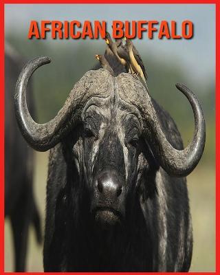 Book cover for African Buffalo