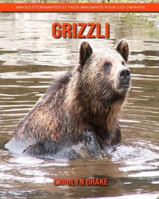 Book cover for Grizzli