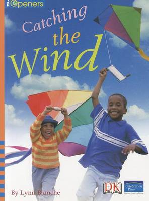 Book cover for Iopeners Catching the Wind Single Grade 2 2005c