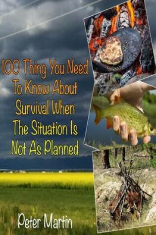 Cover of 100 Thing You Need to Know about Survival When the Situation Is Not as Planned