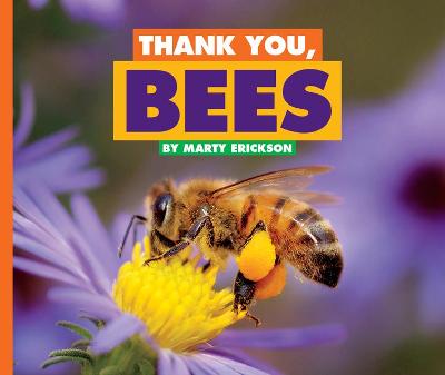 Book cover for Thank You, Bees