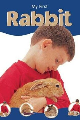 Cover of Rabbit