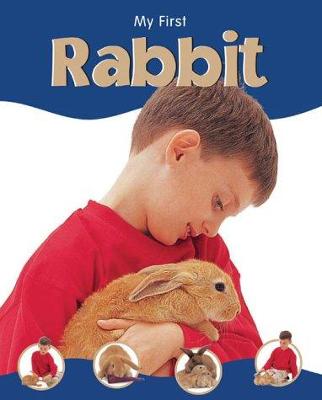 Book cover for Rabbit