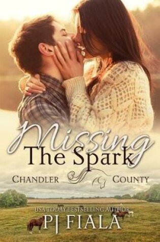 Cover of Missing the Spark