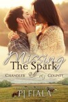 Book cover for Missing the Spark